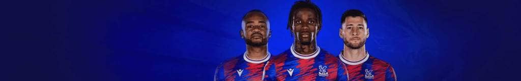 penny press sudoku books
